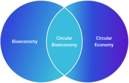 Circular Bioeconomy